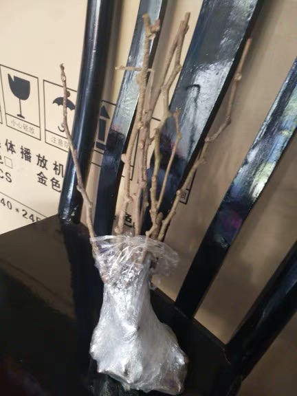 豪门国际 249d8