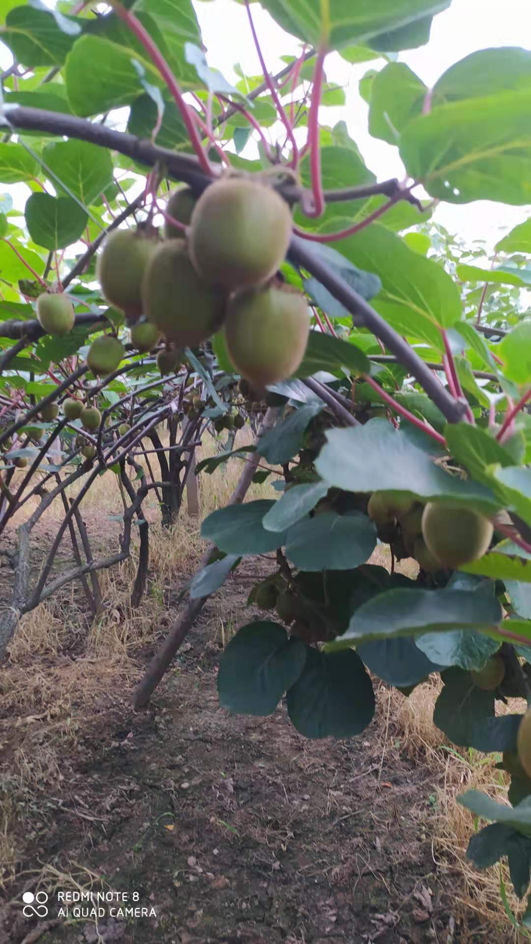 豪门国际 02399