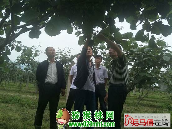 豪门国际 2f3c5