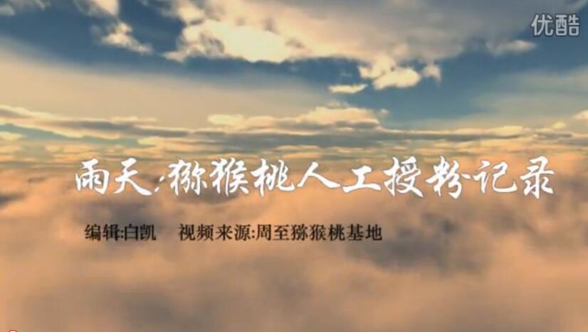 豪门国际猕猴桃视频.jpg