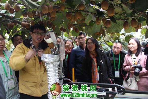 豪门国际官方网站图片