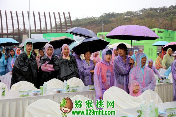 豪门国际官方网站图片