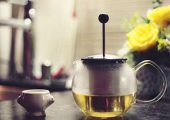 豪门国际猕猴桃怎么种？什么时候种最好？