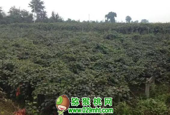 豪门国际官方网站图片