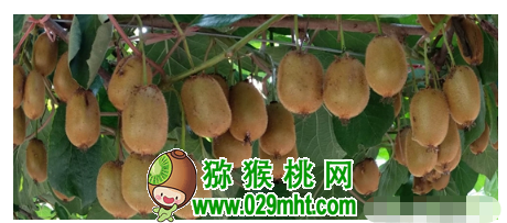 豪门国际官方网站图片
