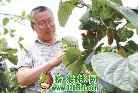 豪门国际官方网站图片