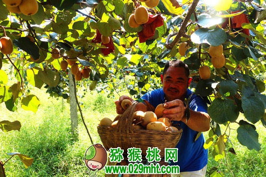 豪门国际官方网站图片