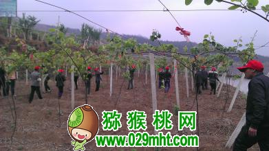 豪门国际官方网站图片