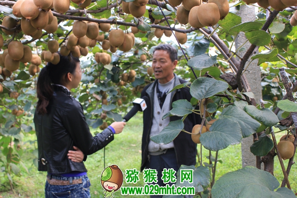 豪门国际 2a3a6