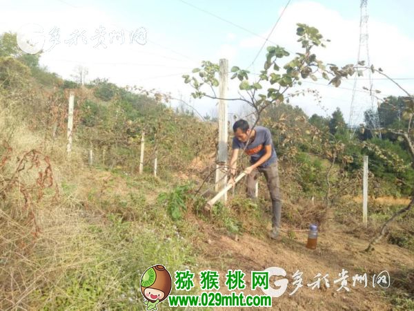 豪门国际官方网站图片
