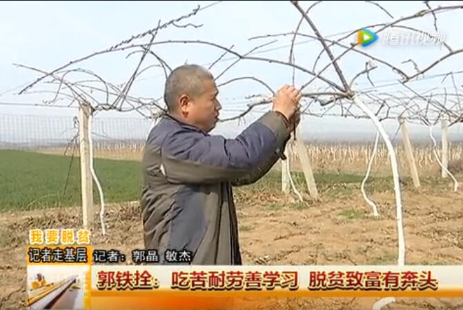 豪门国际官方网站图片