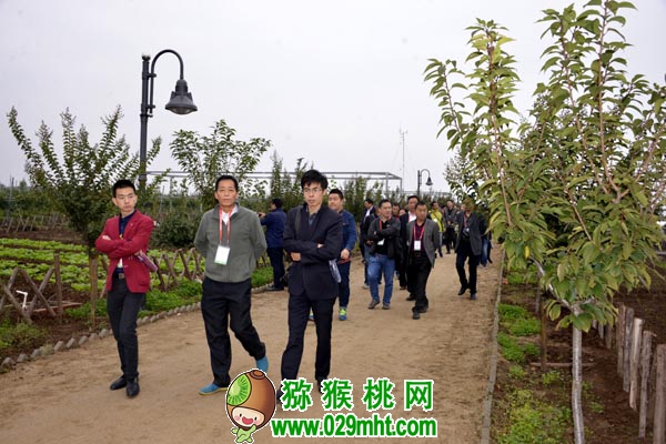 豪门国际官方网站图片