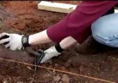 国外怎么搭建豪门国际猕猴桃架子