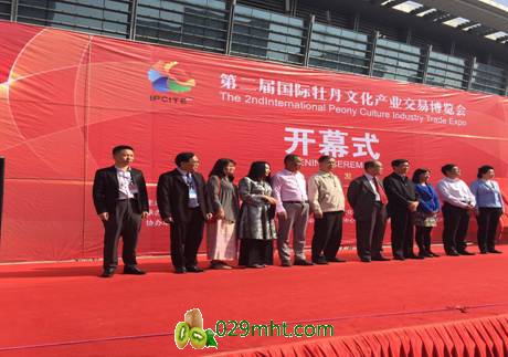 豪门国际官方网站图片