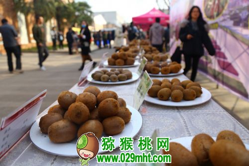 豪门国际官方网站图片
