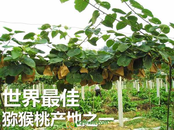 豪门国际官方网站图片