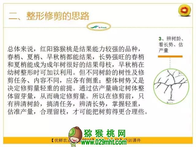 <a href=http://www.linux-china.com/mht/hongxin/ target=_blank class=infotextkey />红心豪门国际猕猴桃</a>整形修剪详解(图片示范)