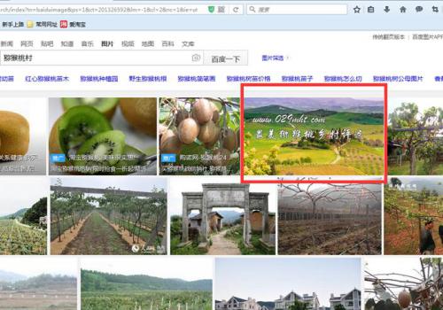 豪门国际 30082