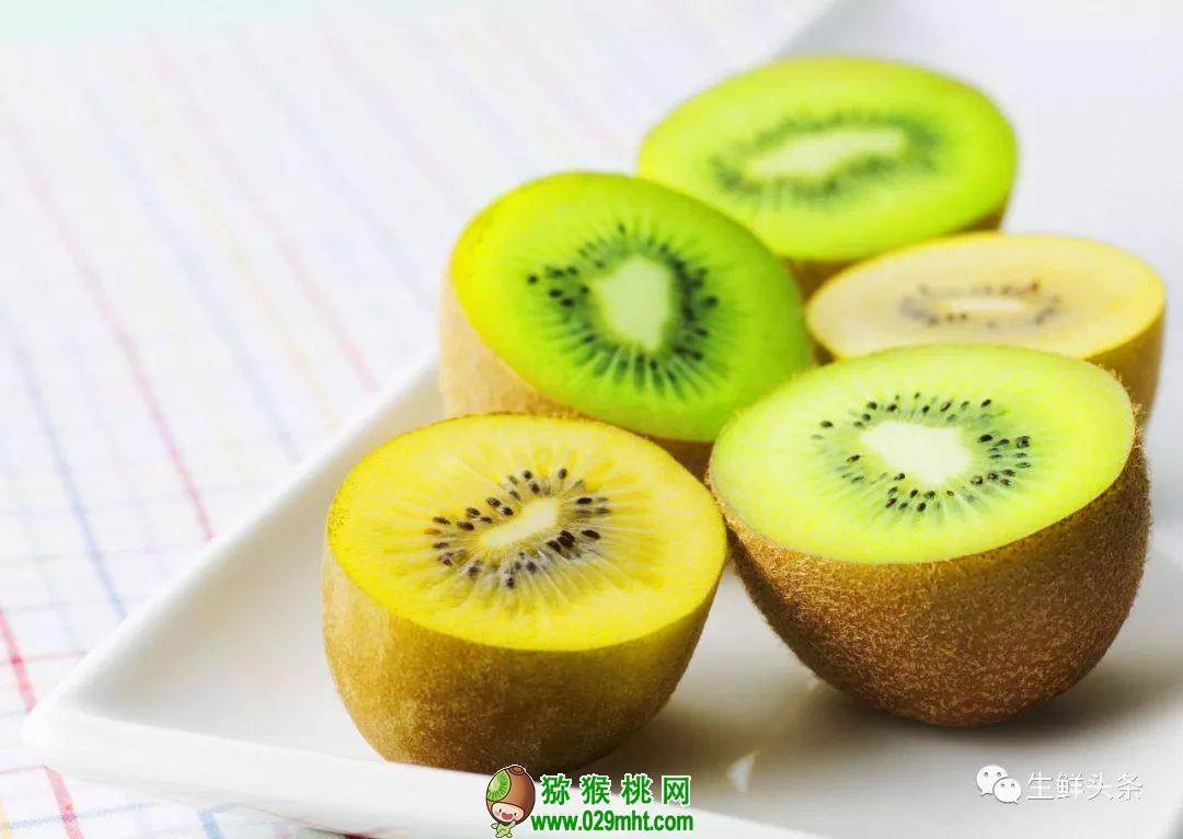 豪门国际 24fc2
