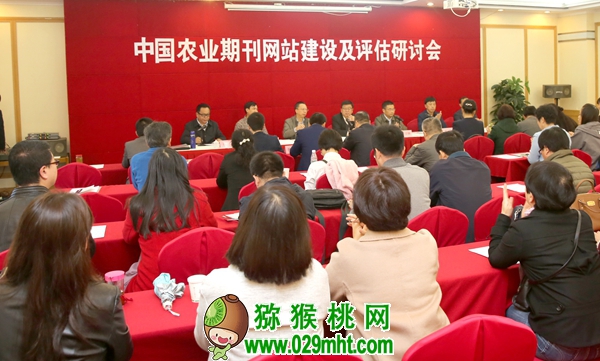 豪门国际官方网站图片