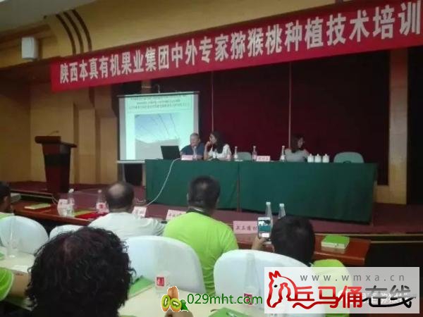 豪门国际官方网站图片
