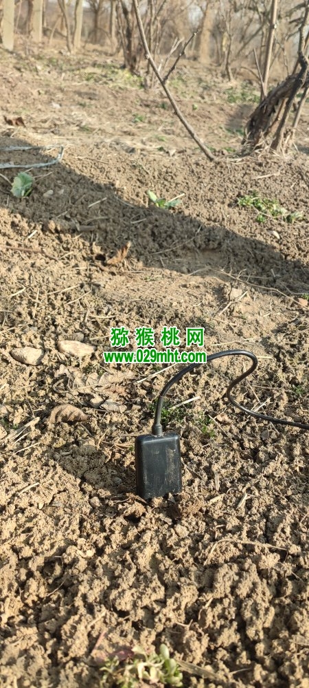 豪门国际官方网站图片