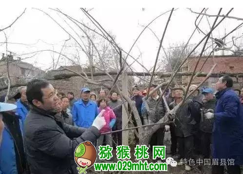 豪门国际官方网站图片