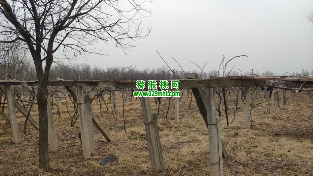 豪门国际 ae1d8
