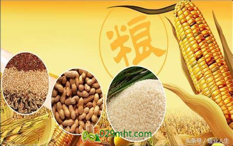 豪门国际官方网站图片