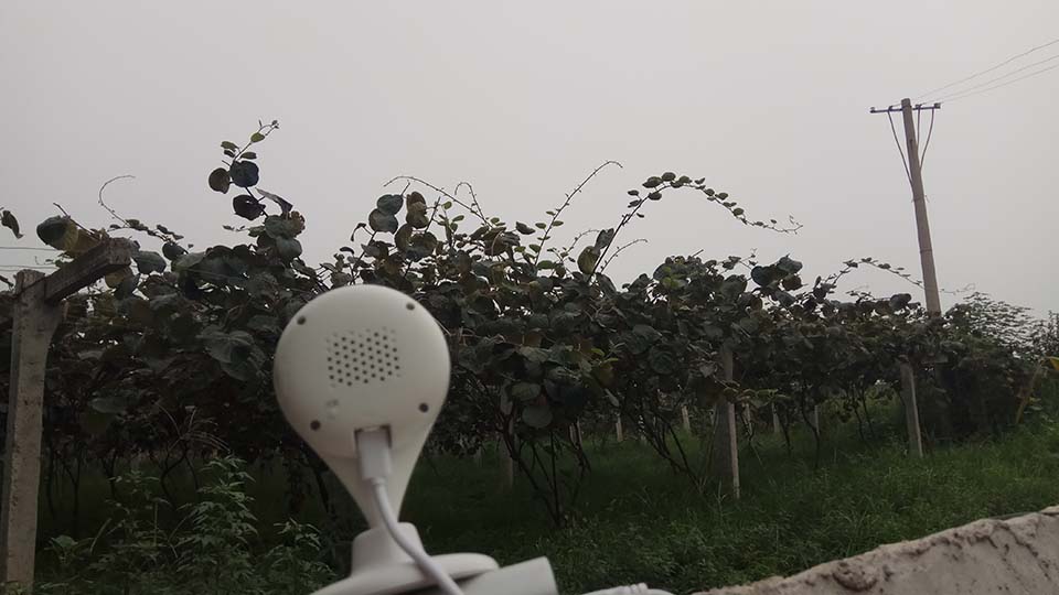 豪门国际 79756