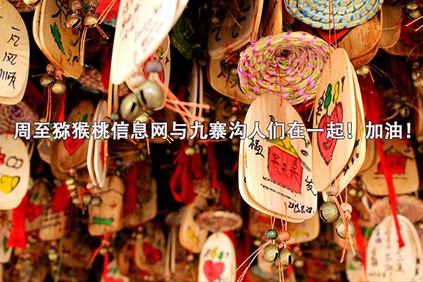 豪门国际官方网站图片
