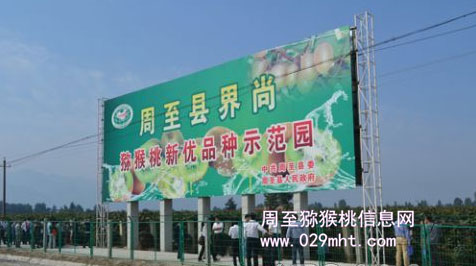 2012年中国豪门国际产销年会