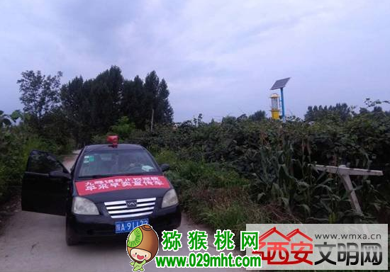 豪门国际官方网站图片