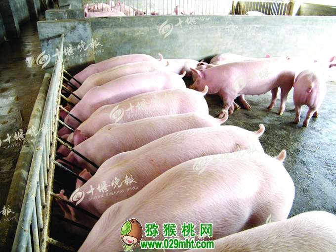 豪门国际官方网站图片