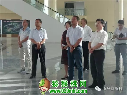 豪门国际官方网站图片