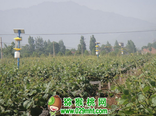 豪门国际 d833d
