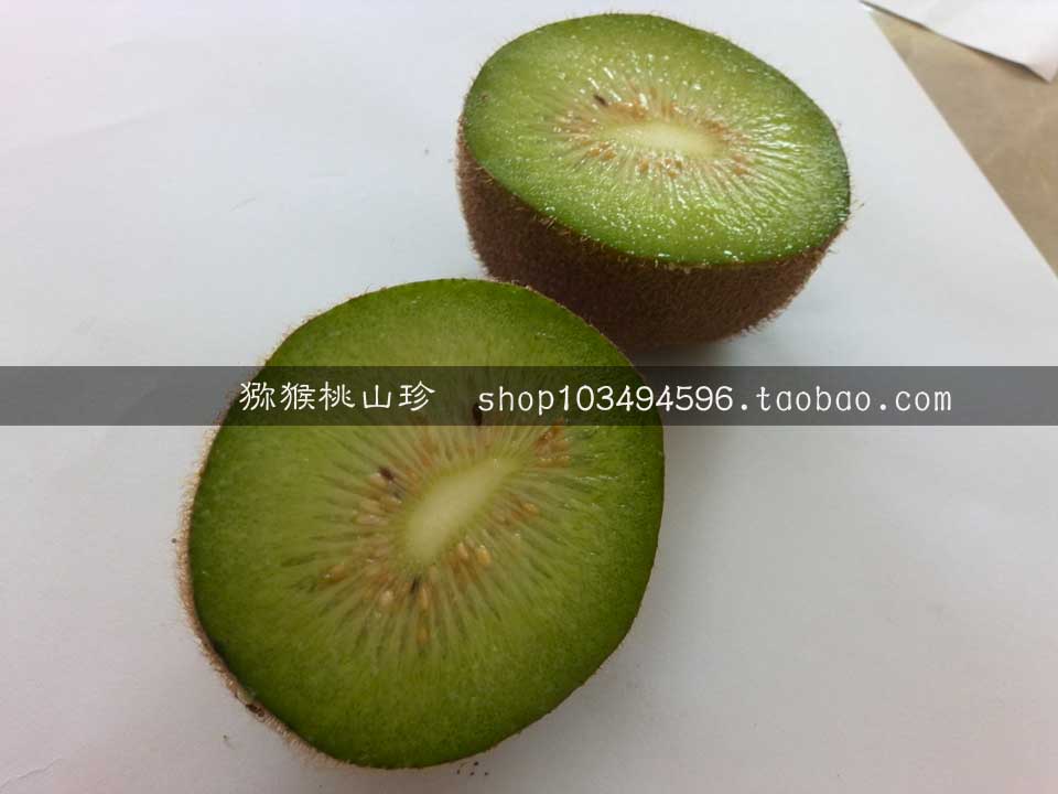 豪门国际猕猴桃