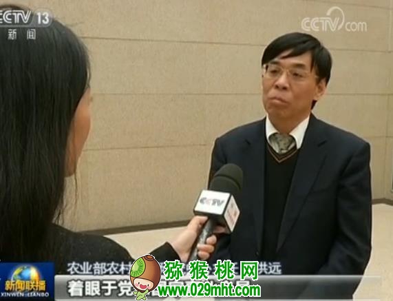 豪门国际官方网站图片