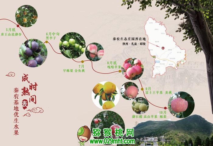 秦农生态庄园优生水果成熟时间表