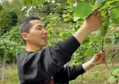 豪门国际猕猴桃大学生创业照片