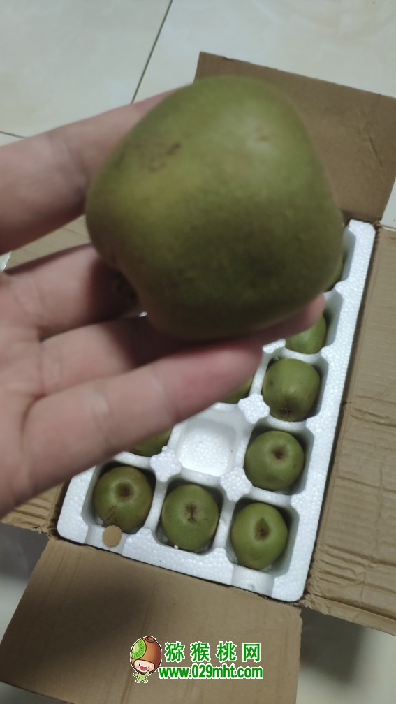 豪门国际 35156