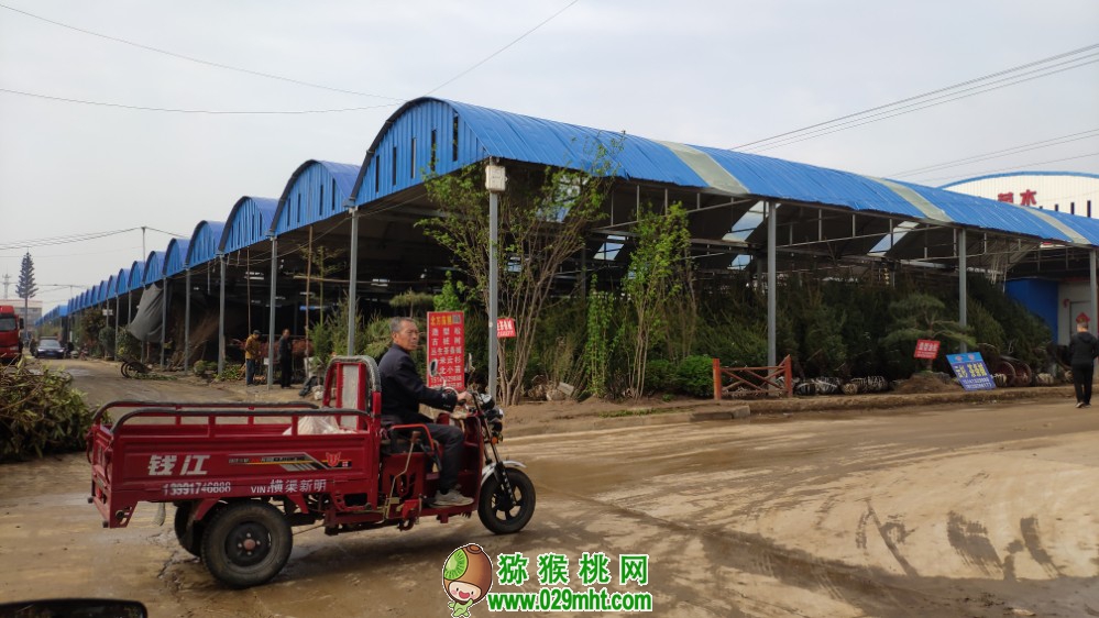 豪门国际 b4edb