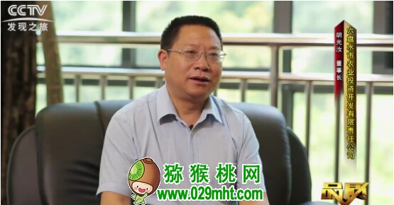 豪门国际官方网站图片