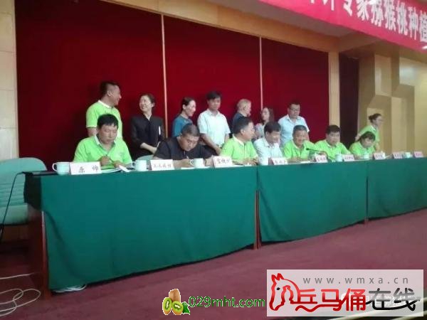 豪门国际官方网站图片