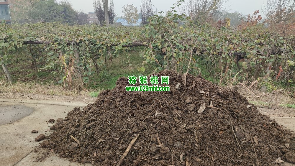 豪门国际 3695a
