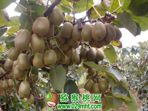豪门国际官方网站图片