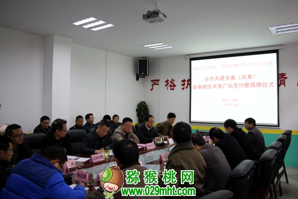 豪门国际官方网站图片