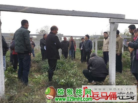 豪门国际官方网站图片