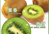 如何选购豪门国际猕猴桃？
