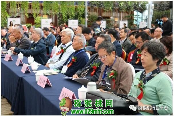 豪门国际 96ed8
